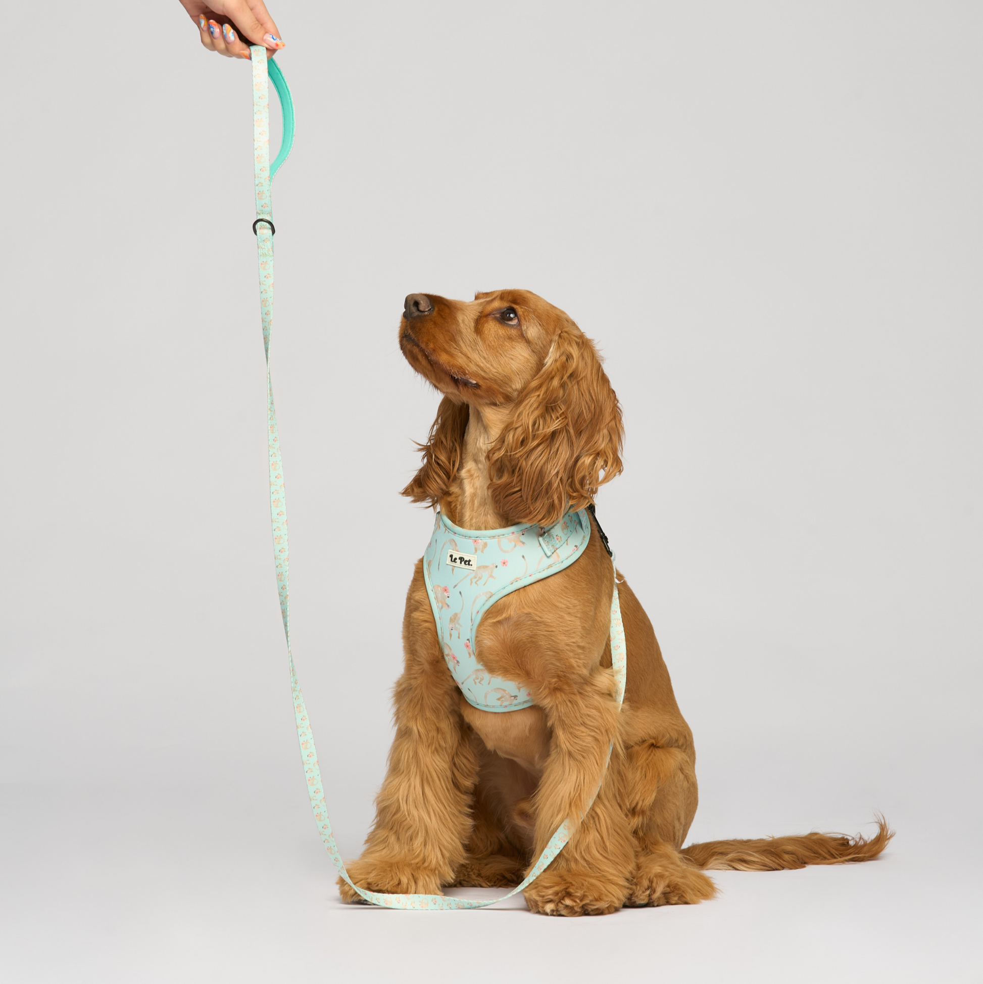 “Turquoise-Tails” Set 🐒