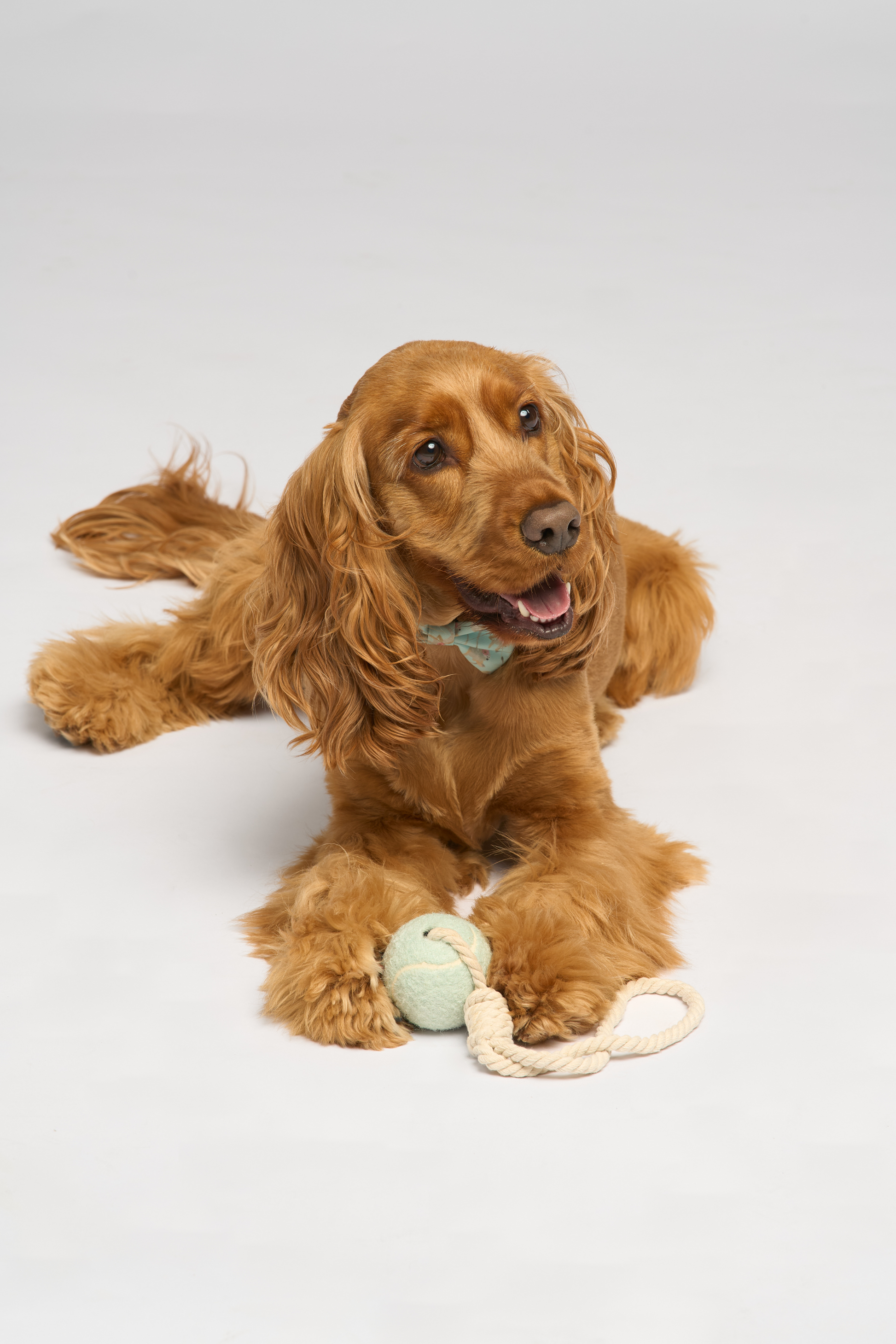 “Bouncing Pastels” Tennis Ball