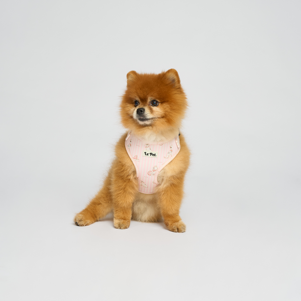 “Riviera-Pawty” Rose Set 🐕