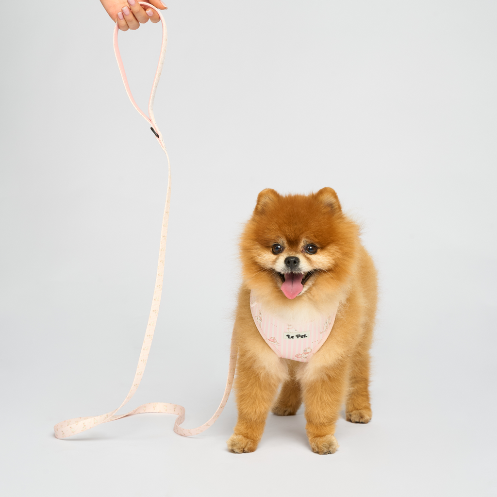 “Riviera-Pawty” Rose Set 🐕