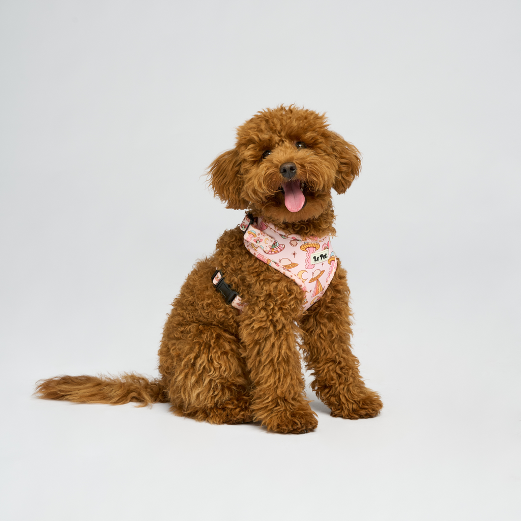 ⁠ ⁠”Le Petit Ufo” Rose Set 🛸