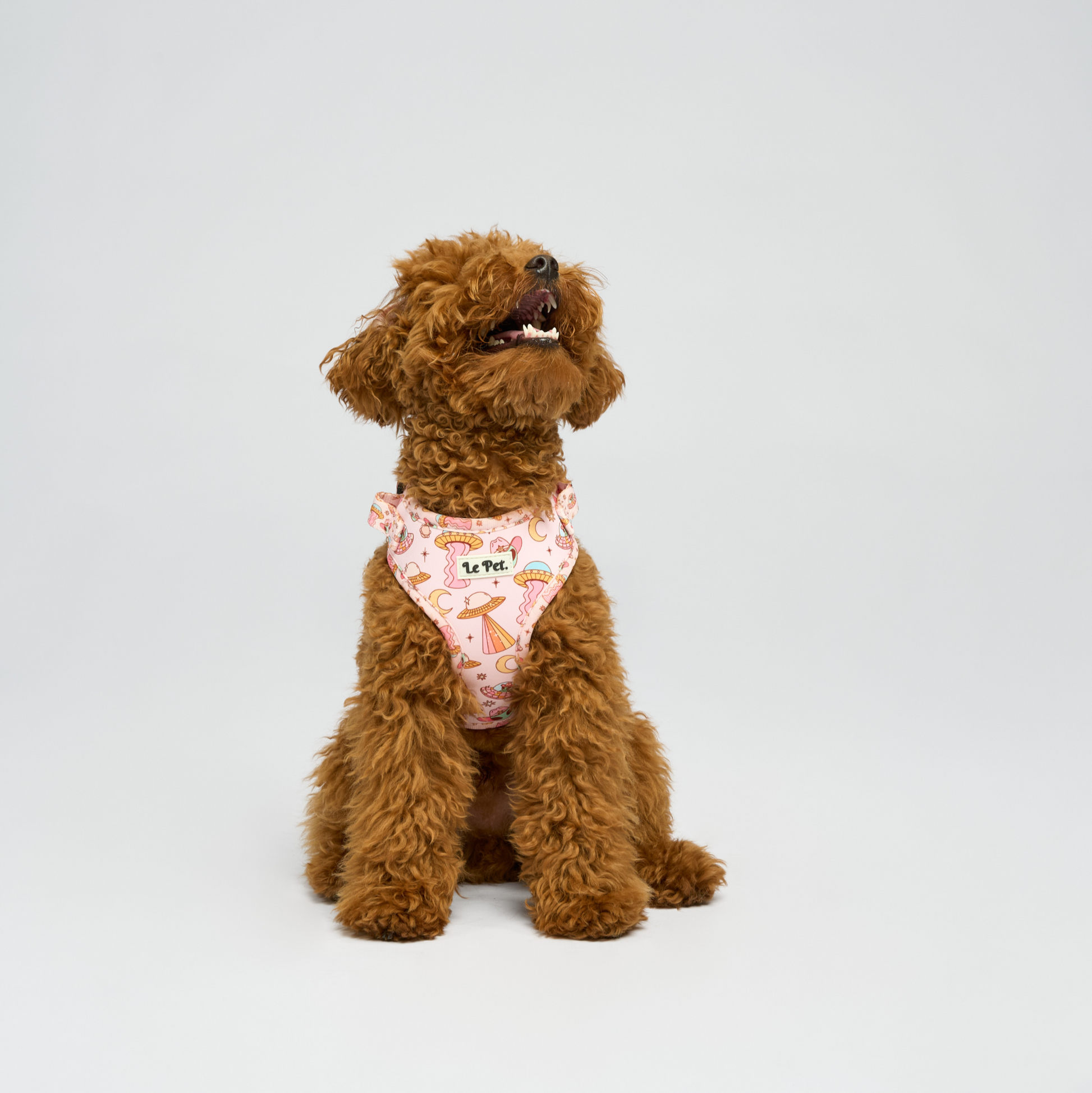 ⁠ ⁠”Le Petit Ufo” Rose Set 🛸