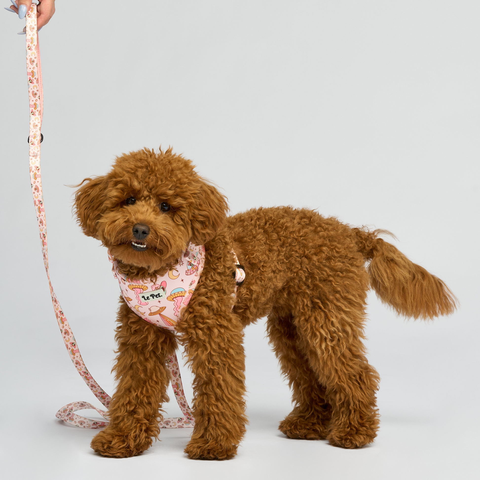 ⁠ ⁠”Le Petit Ufo” Rose Set 🛸