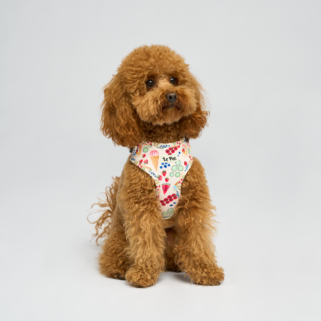 “Brunch-Club” Set 🧺