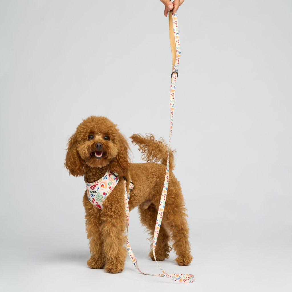 “Brunch-Club” Set 🧺