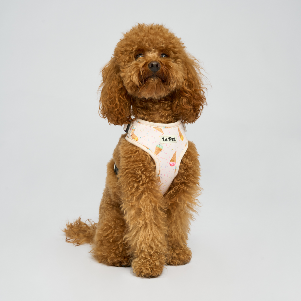 “Sprinkle Sorbet” Set 🍨