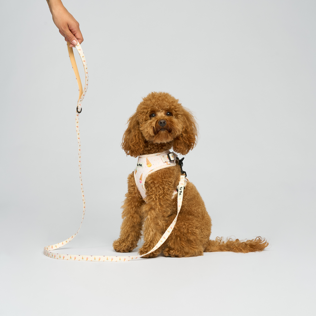 “Sprinkle Sorbet” Set 🍨