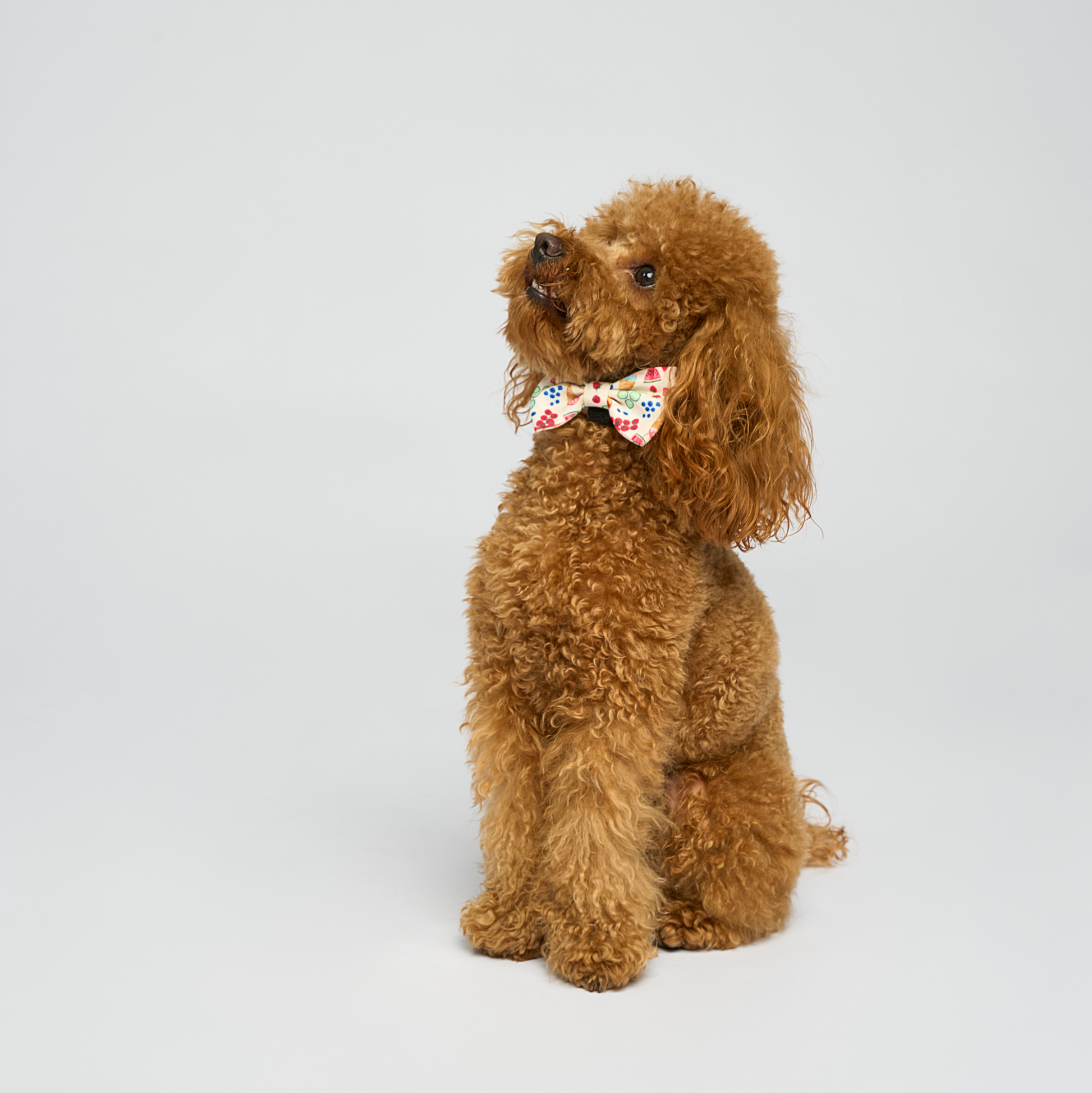 “Brunch-Club” Set 🧺