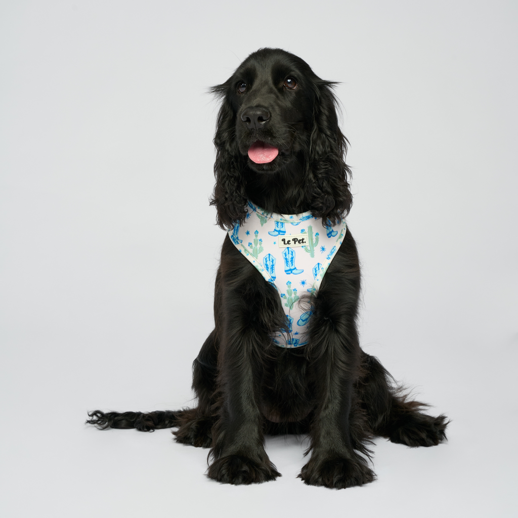 “Bonjour,Texas” Bleu Set 🌵