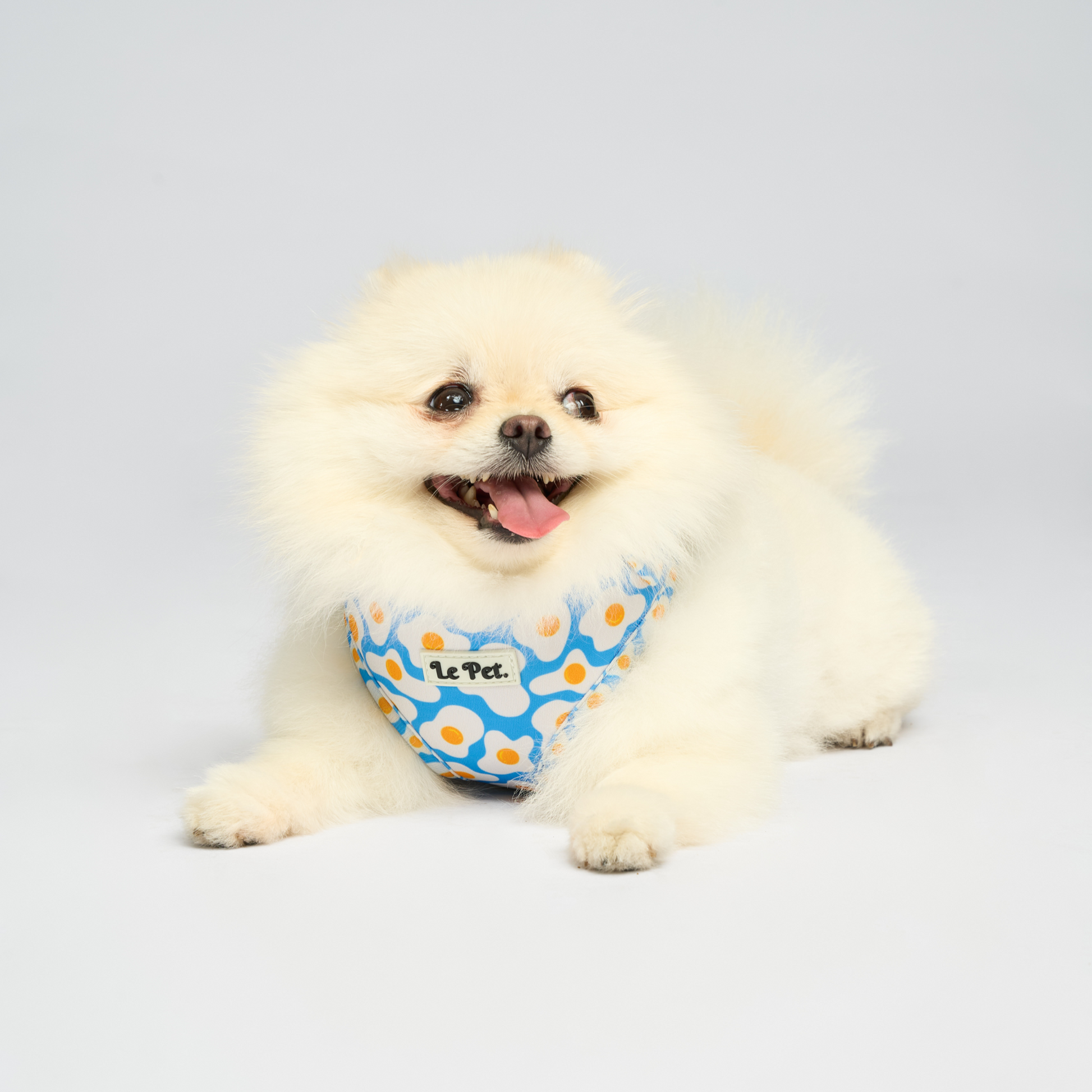 “Benedict Bebè” Set 🍳