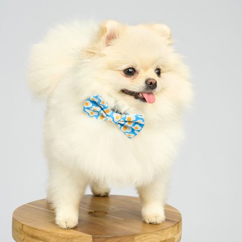 “Benedict Bebè” Set 🍳