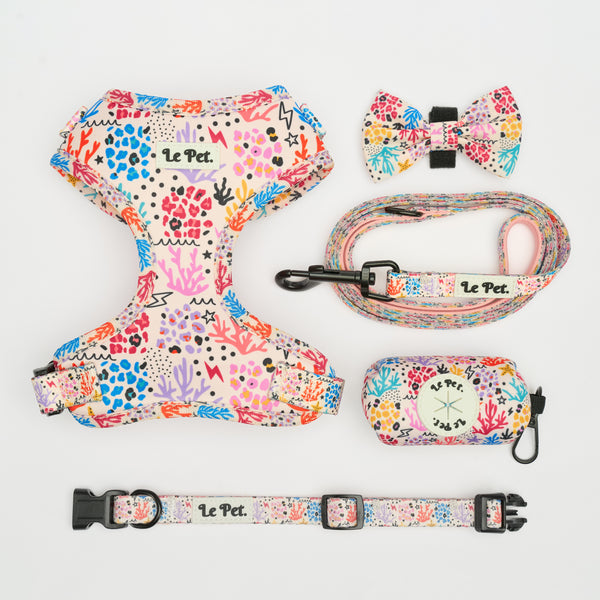 “Coral Crush” Set 🪸