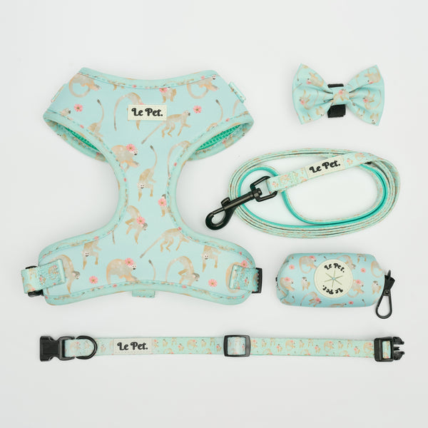 “Turquoise-Tails” Set 🐒