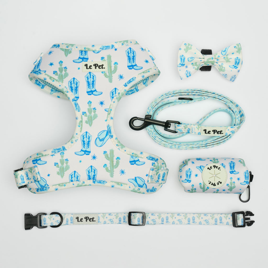 “Bonjour,Texas” Bleu Set 🌵