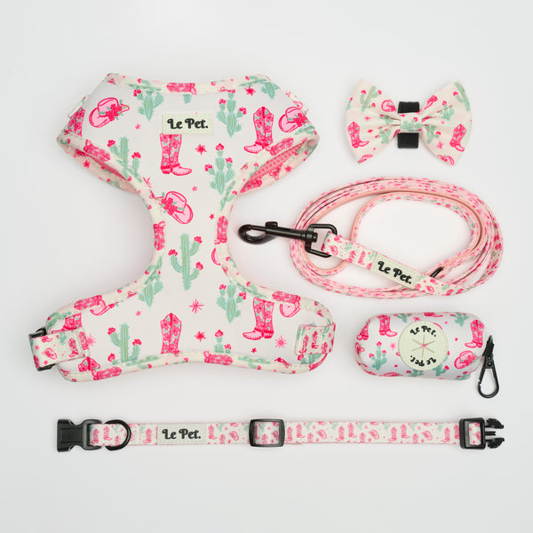 “Bonjour-Texas” Rose Set 🌵