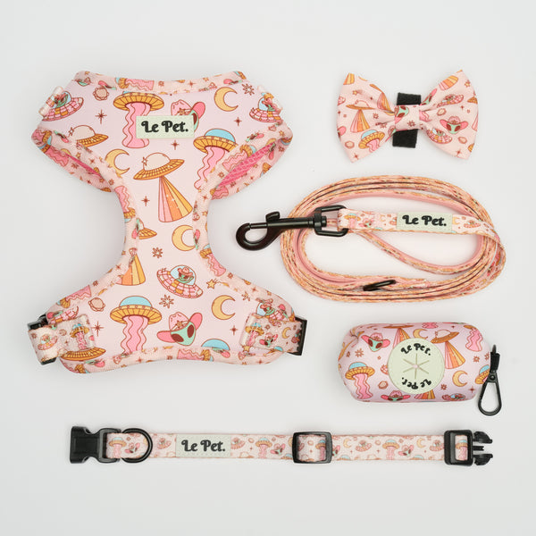 ⁠ ⁠”Le Petit Ufo” Rose Set 🛸