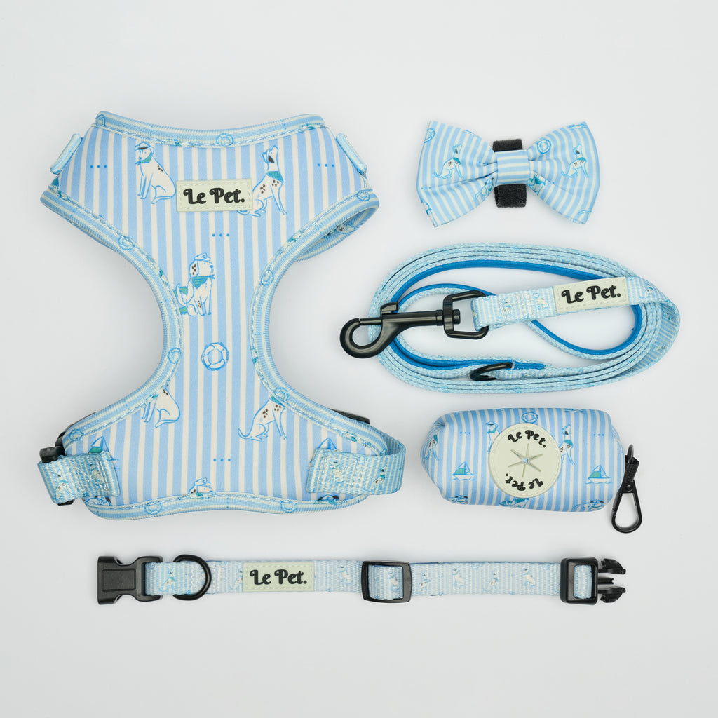 “Riviera-Pawty” Bleu Set 🐕